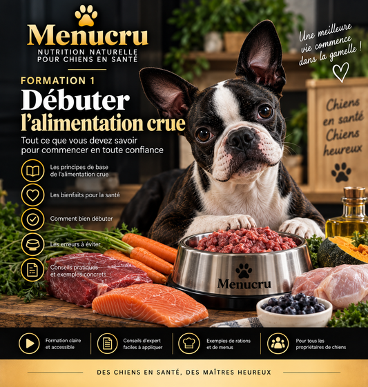 Formation 1 Menucru — Débuter l’alimentation crue