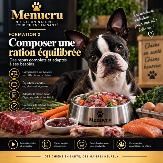 Formation 2 Menucru — Les os crus : comprendre les risques