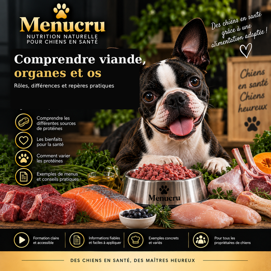 Formation 3 Menucru — Comprendre viande, organes et os