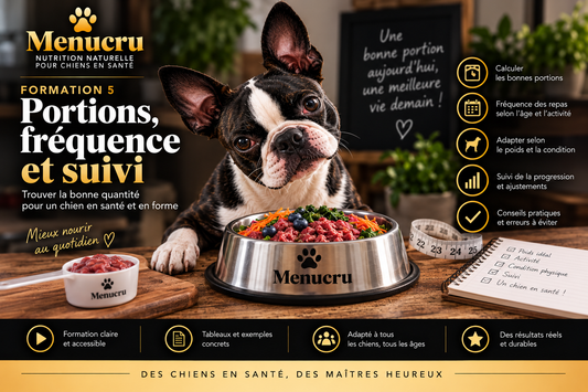 Formation 5 Menucru — Portions, fréquence et suivi