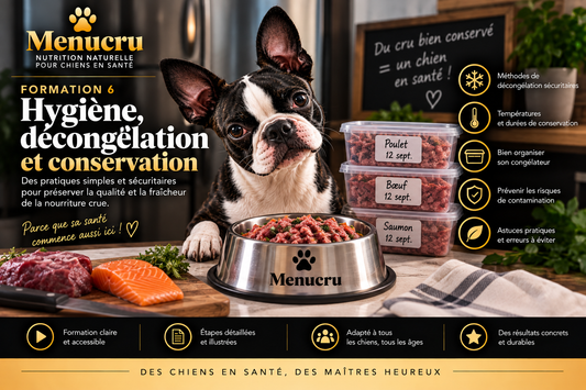 Formation 6 Menucru — Hygiène, décongélation et conservation