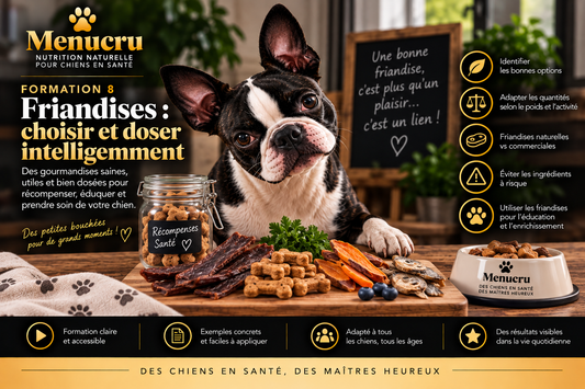 Formation 8 Menucru — Friandises : choisir et doser intelligemment
