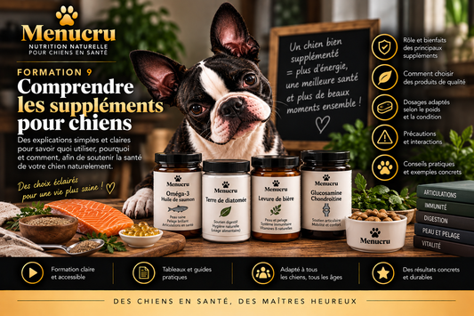 Formation 9 Menucru — Comprendre les suppléments pour chiens