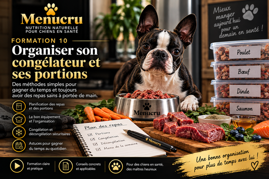 Formation 10 Menucru — Organiser son congélateur et ses portions