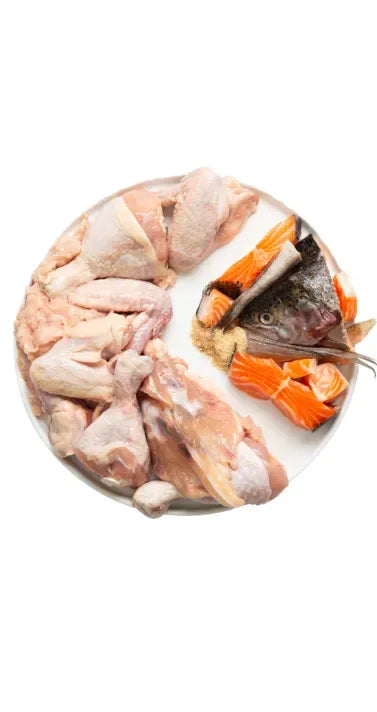Mélange au poisson cru Canino